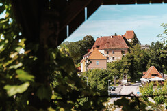 Blick aus der Weinlaube zum Schloss Seggau