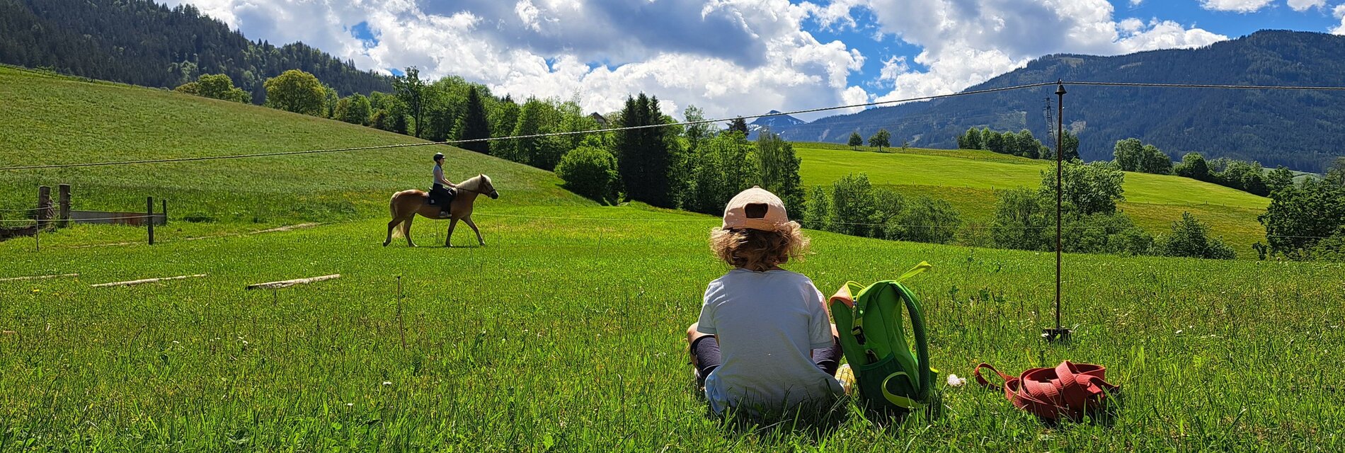 Ausblick am Hof genießen