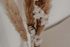 Fjell_AliceHolzfeind-61