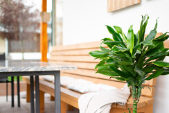 Gaestehaus-Erika-Gartenlodge-Hauser-Kaibling-myNes