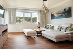 Fernsehcouch im Wohnzimmer