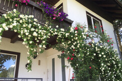 Gästehaus Kühnle, Bad Mitterndorf, entrace area