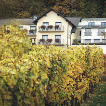 Foto Klöcklschuster