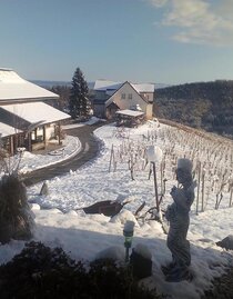 Winter 2017 | © Weingut Ludwigshof Fam. Zierer | © Weingut Ludwigshof Fam. Zierer