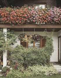 Gästehaus Plum in Hall/Zirnitz | Stefan Leitner