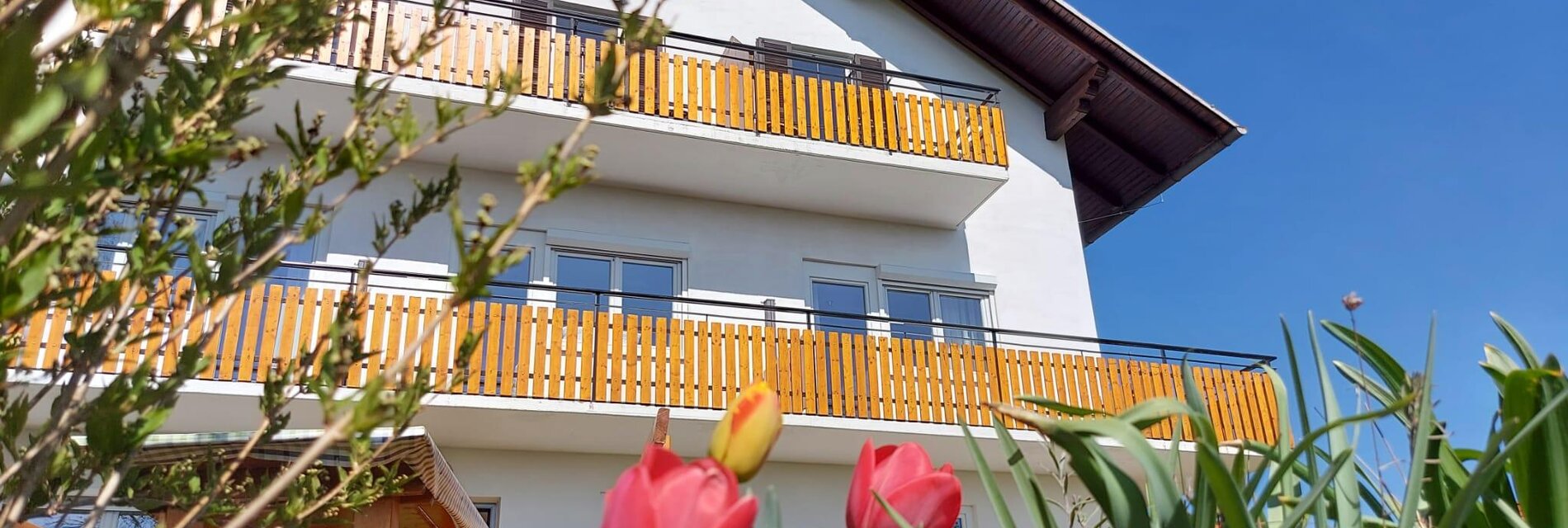 Frühling liegt in der Luft