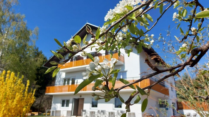 IMG-20220412-WA0024[1]