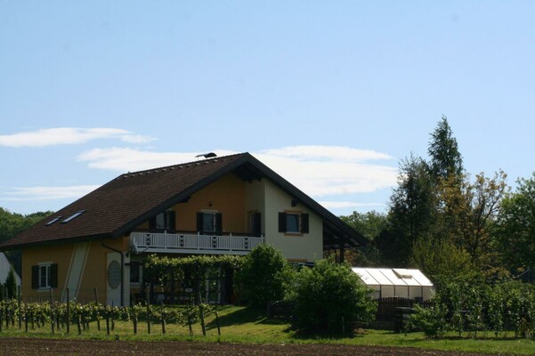 Hausansicht - Gästehaus Hillberger | © Gästehaus Hillberger