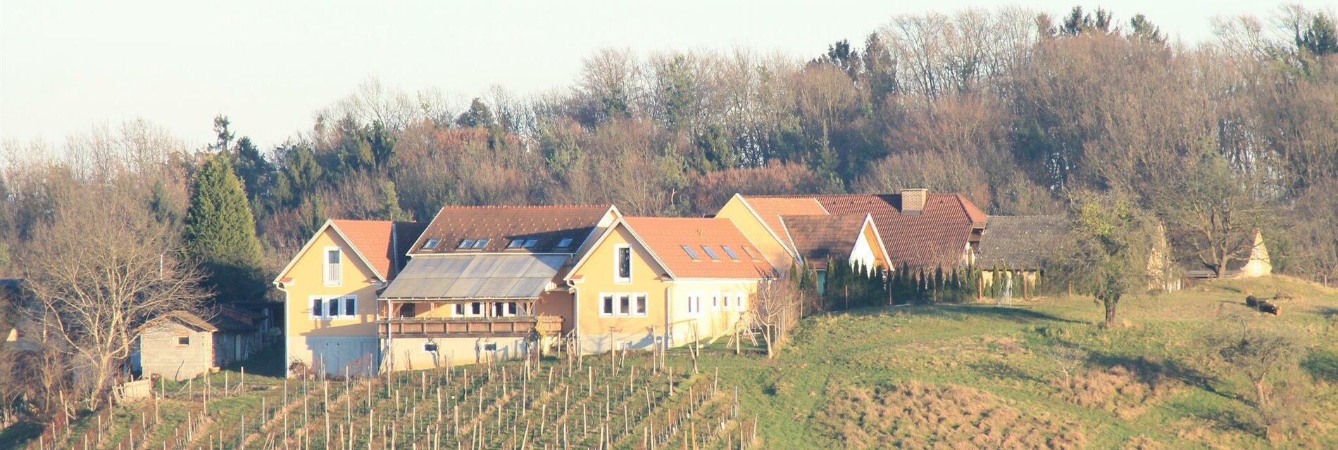 Ansicht Weingut Kahr