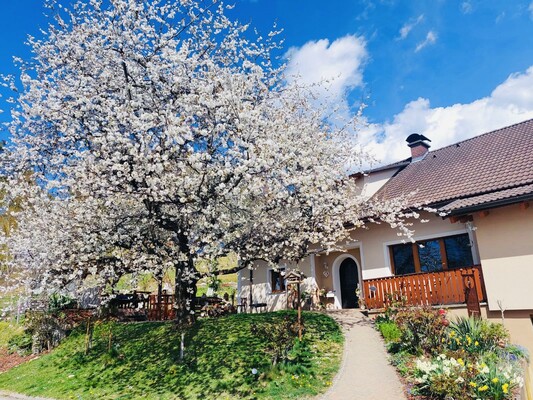 Ferienwohnung | Gästezimmer Weisch | Frühling | © Ferienwohnung | Gästezimmer Weisch