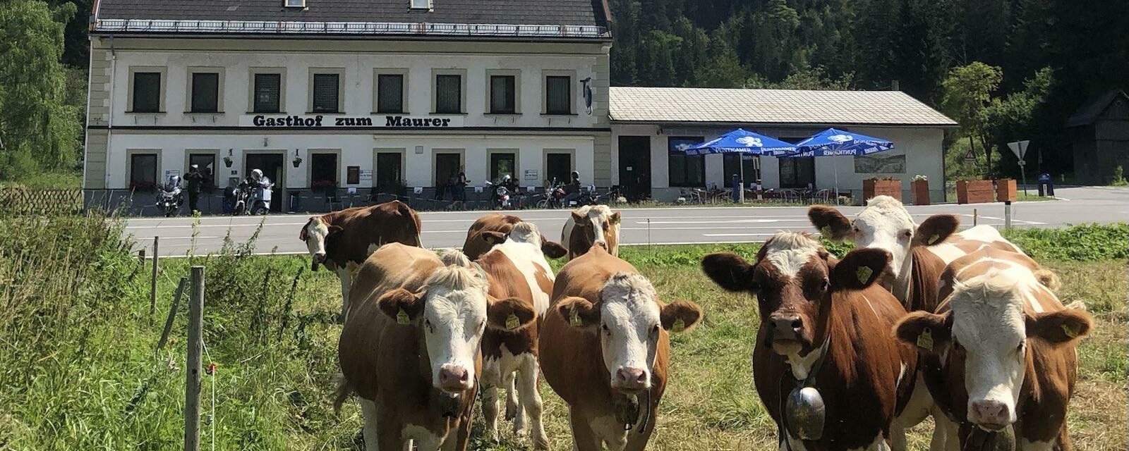 Gasthof zum Maurer