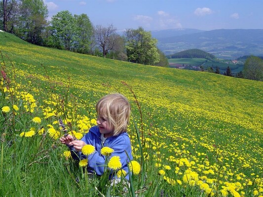 Frühlingsstimmung | © Familie Glatz