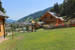 Rezeption und APT-STM