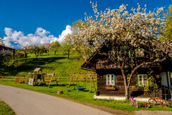 UaB-Fruehling0517-330