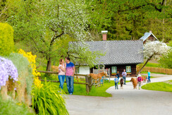 UaB-Fruehling0517-256