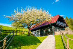 UaB-Fruehling0517-320