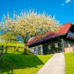 Bild von Obstgartenhaus mit Sauna