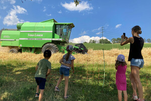 Bei der Kornernte | © Karin Paar