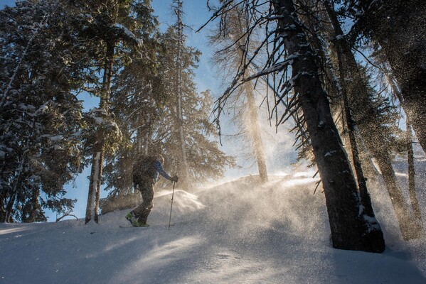 Vielen Tourenmöglichkeiten im Sommer und Winter