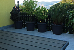 IMG_20240824_081313_523