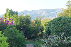 IMG_20240824_081332_868