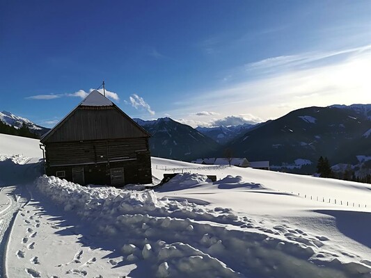 Spuren im Schnee