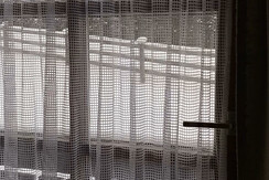 Blick waldseitig vom Balkon aus