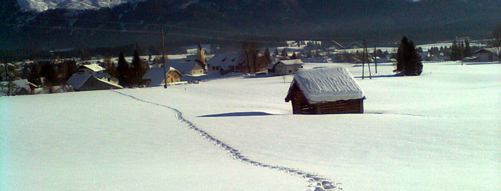 Haus Pürcher, Bad Mitterndorf, Winter