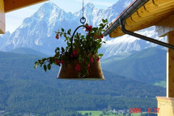 Aussicht imSommer