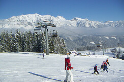 Skilaufen