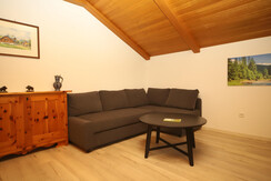 living room ( with bed sofa)