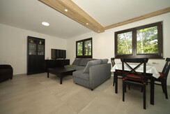 living room with dining area