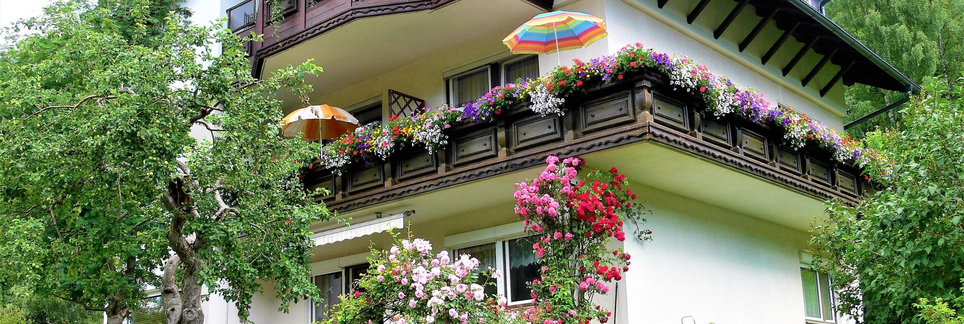 HausSteiner