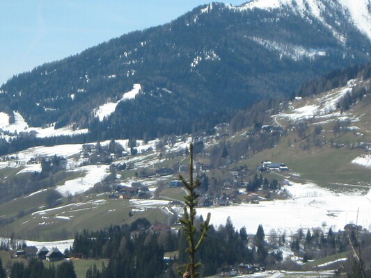 Wandern im Frühjahr