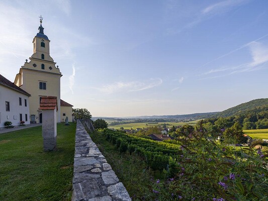 Feistritztal-St.-Johann-bei-Herberstein-Weingarten | © Stefan Hirzer