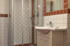 bathroom with shower