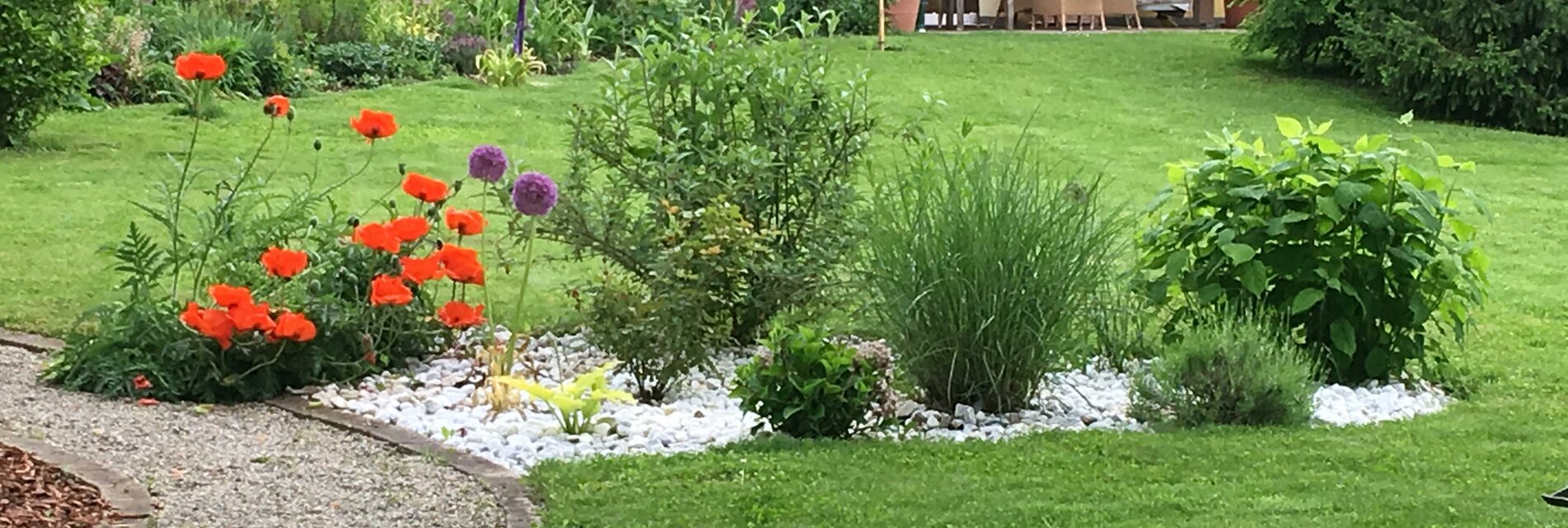 Garten mit Blick auf Terrasse