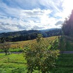 Bild von Vierbettzimmer, Dusche, WC, gartenseitig | © Markus Ferk