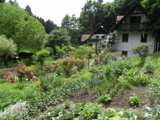 Gemüse aus dem Garten | © Claudia Fabian