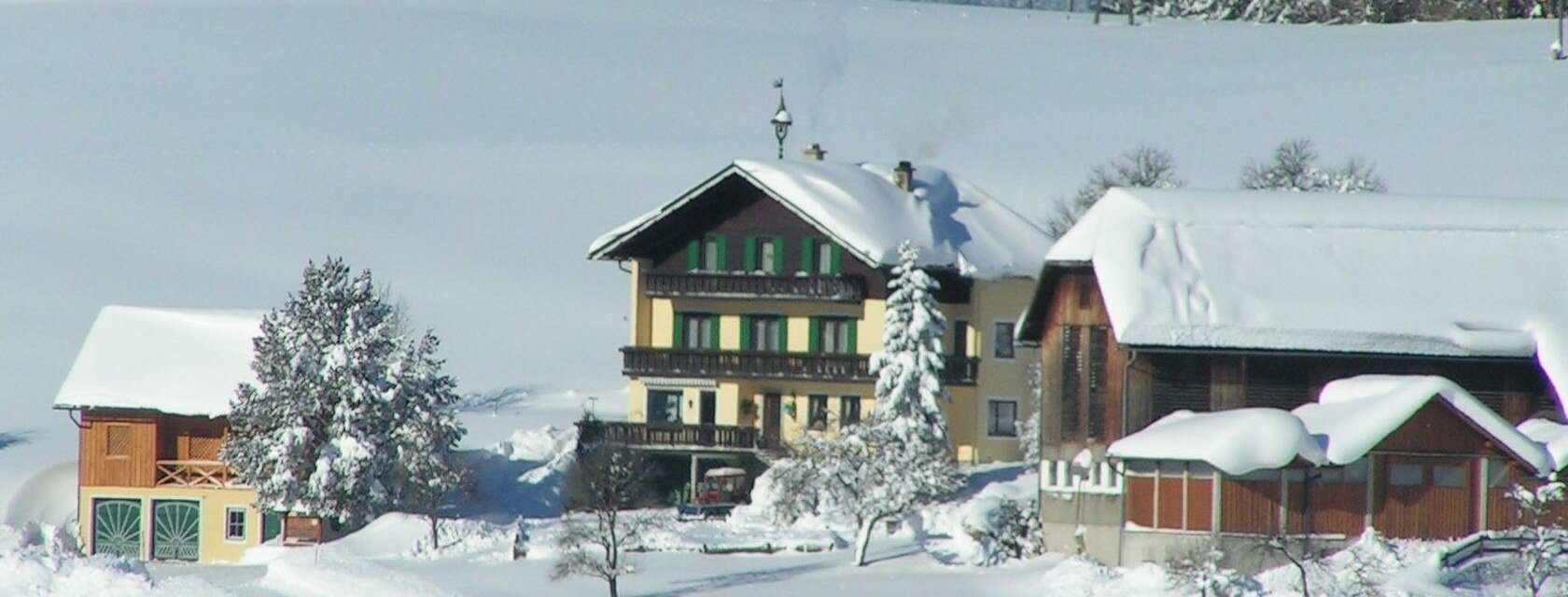 Hoisbauer, Bad Mitterndorf, Bauernhof im Winter