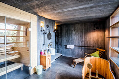 Sauna Toni top
