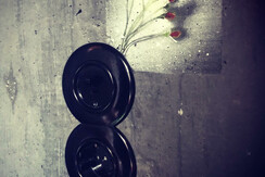 steckdose mit blume (handy)