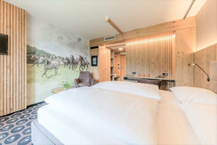 DZ Lipizzaner + mit Wandposter