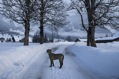 Wanderwege vor dem Hotel