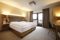 Hotel DER HECHL, Tauplitz, double room