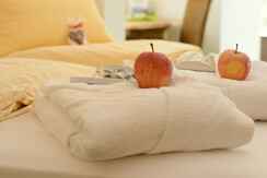 doppelzimmer-planai_hotel-hartweger_A15_3843