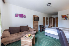 Zm 28, Post Hotel, Bad Mitterndorf-4