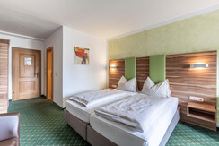 Zm 28, Post Hotel, Bad Mitterndorf-7