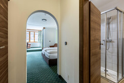 Zm 14, Post Hotel, Bad Mitterndorf-1