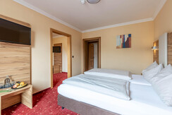 Zm 24, Post Hotel, Bad Mitterndorf-5